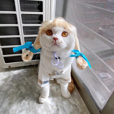 Pelucas y Accesorios de Moda para Mascotas - Disfraces y Tiara para Perros y Gatos - Image 7