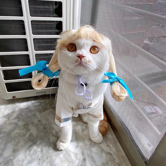 Pelucas y Accesorios de Moda para Mascotas - Disfraces y Tiara para Perros y Gatos - Image 7