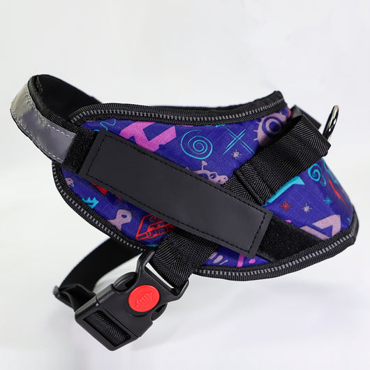 Cadena de Amarre Resistente para Perros - Correa de Seguridad Premium - Image 14