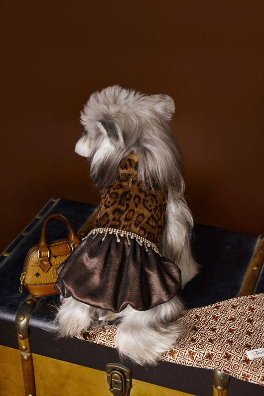 Vestido Otoñal Estampado Leopardo para Perros - Image 7