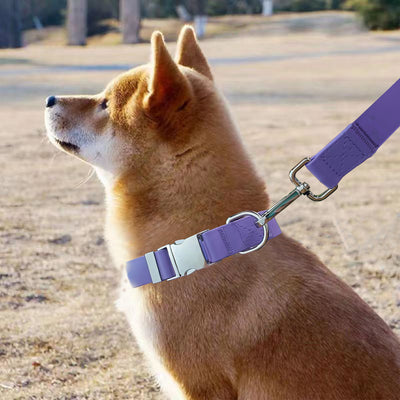 Correa de Tracción para Mascotas en Silicona Ajustable e Impermeable