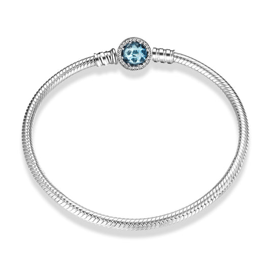 Pulsera de Plata Esterlina S925 con Cadena de Serpiente y Dijes Intercambiables - Image 10