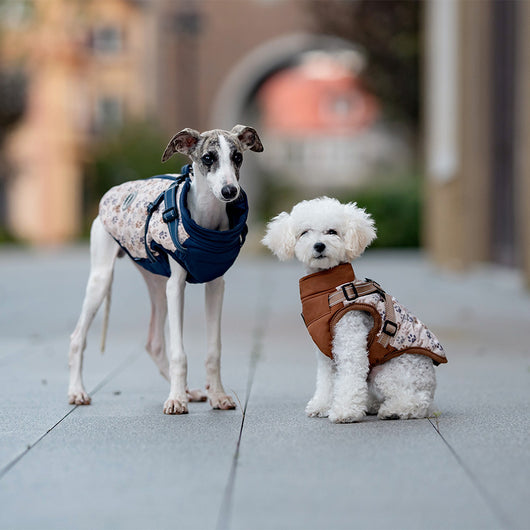 Abrigo Térmico para Perros - Chaleco Acolchado Invierno - Image 2