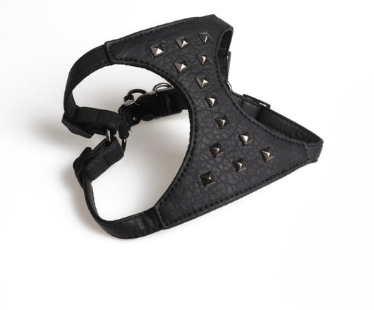Correa de Cuero Ajustable para Perro con Tachuelas Estilo Premium - Image 7