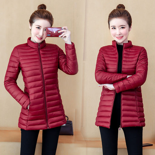 Chaqueta de Algodón Entallada Talla Grande - Corte Medio Ligero - Image 3