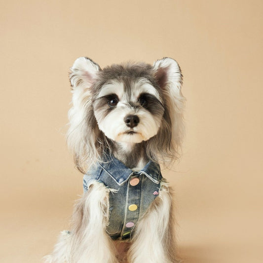 Chaleco Denim sin Mangas con Bordado Schnauzer Maltés Teddy