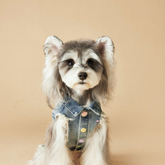 Chaleco Denim sin Mangas con Bordado Schnauzer Maltés Teddy