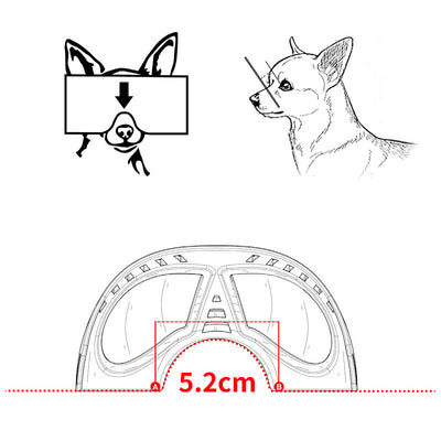 Gafas de Sol para Perros - Protección UV y Resistencia al Viento - Image 11