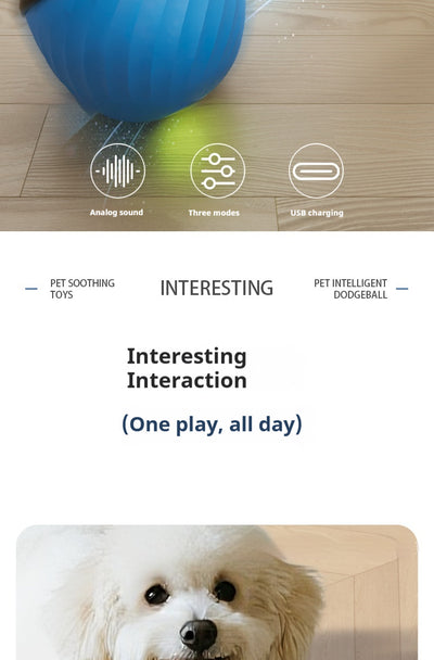 Pelota Masticable Inteligente para Perros - Juguete Resistente y Calmante - Image 9