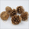 Piñas de Pino Naturales para Decoración Navideña