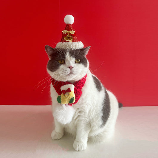Bufanda Navideña para Gatos - Decoración Festiva para Mascotas - Image 16