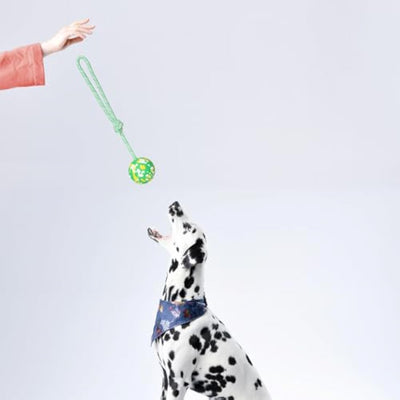 Pelota de Goma con Cuerda para Perros Pequeños y Medianos - Juguete Interactivo de Tracción - Image 6