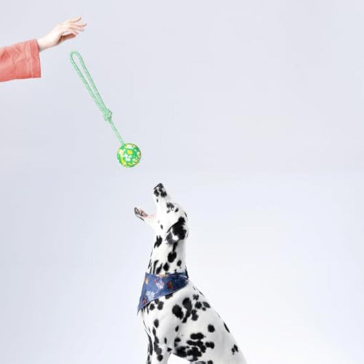 Pelota de Goma con Cuerda para Perros Pequeños y Medianos - Juguete Interactivo de Tracción - Image 6