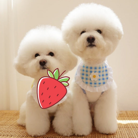 Babero Absorbente para Perros con Diseño Cuadros y Flores - Image 10