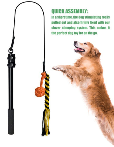 Vara Extensible de Adiestramiento para Perros con Diseño Divertido - Image 9