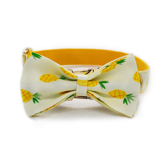Collar para Mascotas Piña Amarilla - Image 3