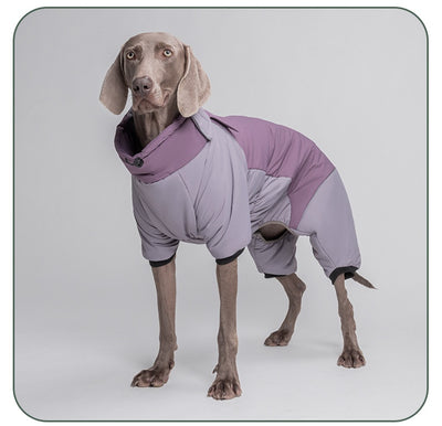 Abrigo Reflectante para Perros - Algodón Grueso con Visibilidad Alta - Image 18