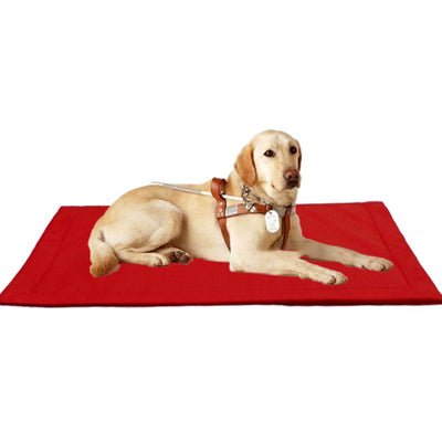 Tapete Resistente a Mordidas para Perros Grandes - Golden Retriever - Image 6