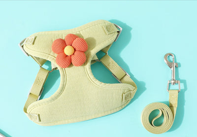 Arnés de Pecho para Perro con Correa de Cuerda - Sistema de Sujeción Corporal - Image 11