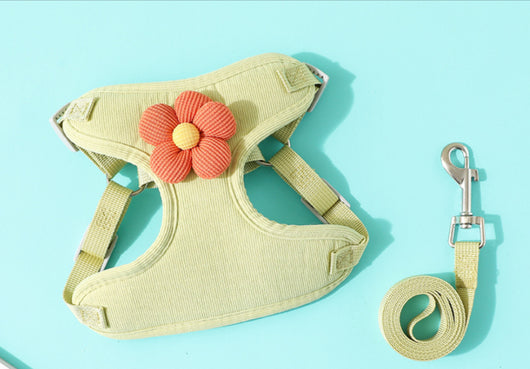 Arnés de Pecho para Perro con Correa de Cuerda - Sistema de Sujeción Corporal - Image 11