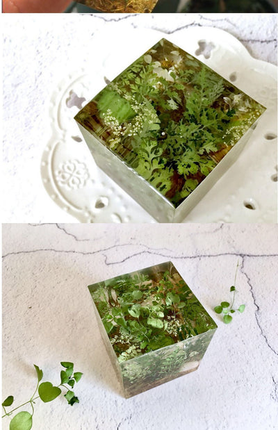 Cubo de Plantas Secas con Flores Deshidratadas y Musgo Natural - Image 7