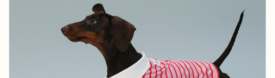 Chaleco sin Mangas para Perro Pequeño Rayas Rojo - Image 13