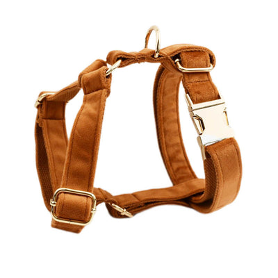 Collar de Perro Terciopelo Suave - Image 18