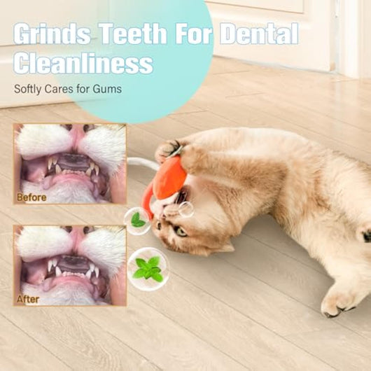 Juguetes para Gatos con Cuerda de Sisal y Hierba Gatera - Juguetes Seguros para Gatos Aburridos - Image 4