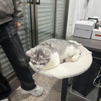 Cama Portátil para Gatos con Estructura Metálica Desmontable - Image 7
