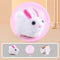 Blanco Rabbit Grounder