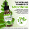 Gotas de Moringa - Suplemento Nutricional Concentrado
