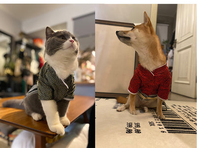 Disfraz de Guerrero Samurái para Perros - Estilo Kimono Japonés - Image 12