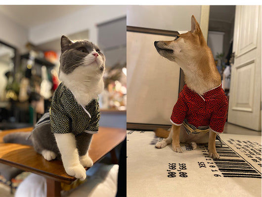 Disfraz de Guerrero Samurái para Perros - Estilo Kimono Japonés - Image 12