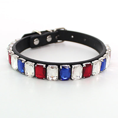 Collar Sólido para Perro con Cadena de Calidad Premium - Image 5
