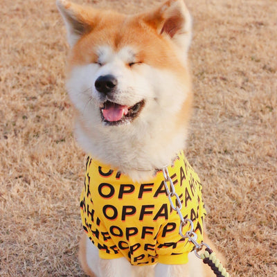 Camiseta Estampada con Letras para Mascotas - Diseño Minimalista - Image 9
