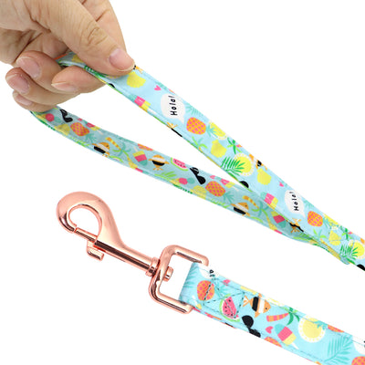Correa y Collar para Perros Pequeños - Diseño Teddy Corgi - Image 4