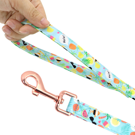 Correa y Collar para Perros Pequeños - Diseño Teddy Corgi - Image 4