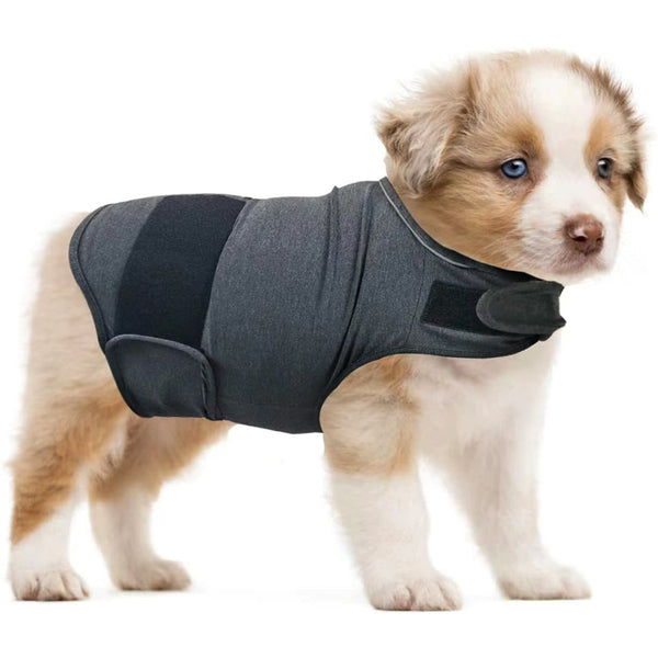Chaleco Calmante para Perros - Alivia la Ansiedad por Separación