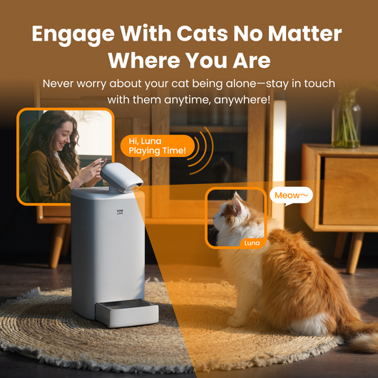 Comedero Automático para Gatos con Cámara 1080P, Control de Porciones y Visión Nocturna - Image 7