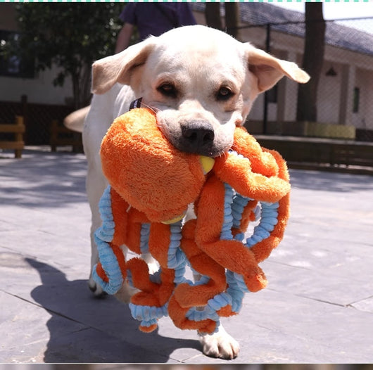 Juguete Interactivo de Tracción para Perros Medianos y Grandes - Image 16
