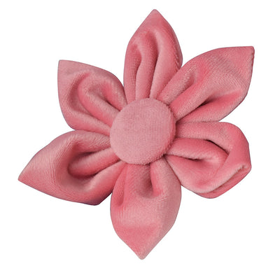 Collar para Perro de Plumón de Ganso con Hebilla Oro Rosa - Image 4