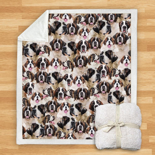 Manta de Franela Estampada para Perros de Diseño Moderno - Image 74