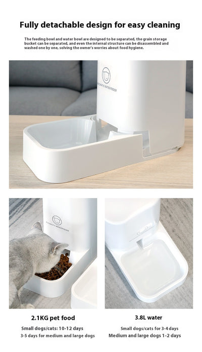 Dispensador Automático de Agua para Mascotas - Gran Capacidad con Renovación Continua - Image 14