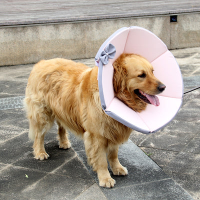 Collar de Recuperación para Perros - Image 4