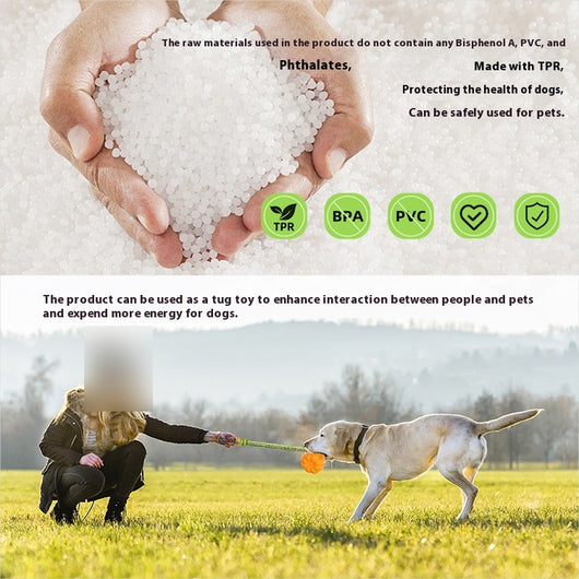 Juguete para Perros Resistente para Camping - Lanzamiento Extra Largo - Image 8