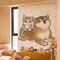 Gato Massage Corgi 40 X 60 Cm Velcro