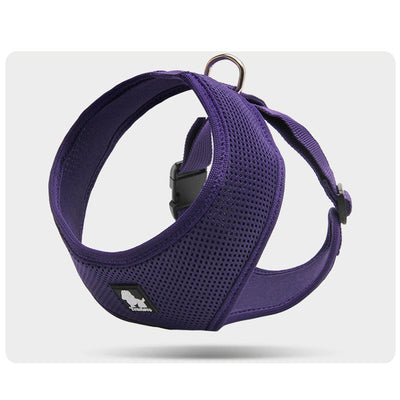 Correa de Paseo Resistente para Perros Pequeños - Image 17