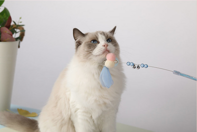 Varita Interactiva con Campana y Plumas para Gatos - Image 7