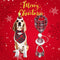 Pañuelo Navideño para Mascotas con Estampa Reno y Papá Noel