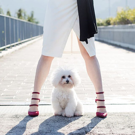 Tacones Altos Puntiagudos con Envoltorio y Botones - Elegancia en Gamuza - Image 13